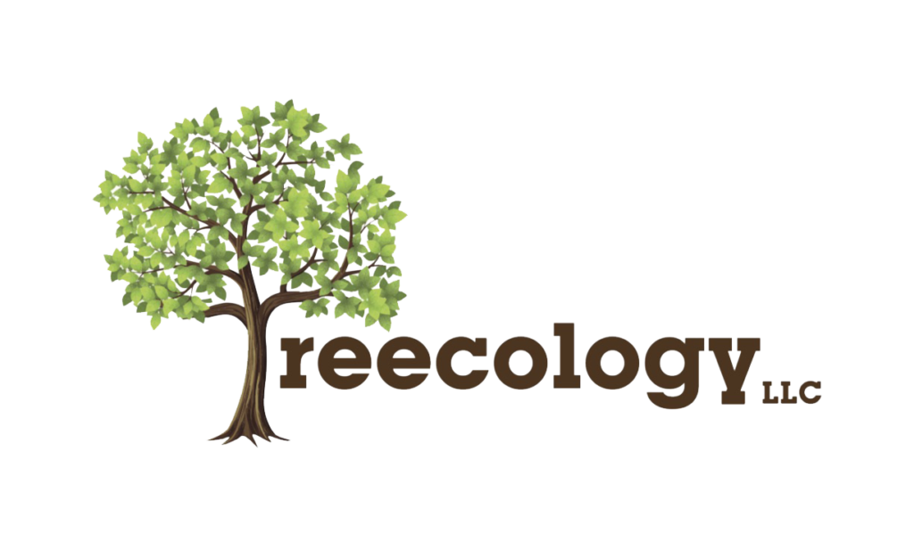 Treecology Logo Desktop