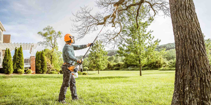 Tree Trimming Blount County