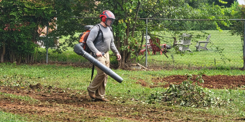 Treecology LLC Tree Care Sevierville